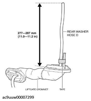 G11432950