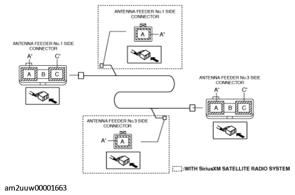 G11433961