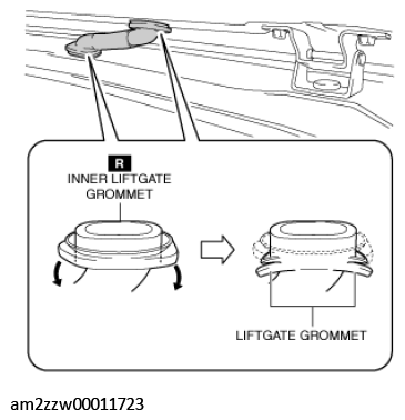 G11433969