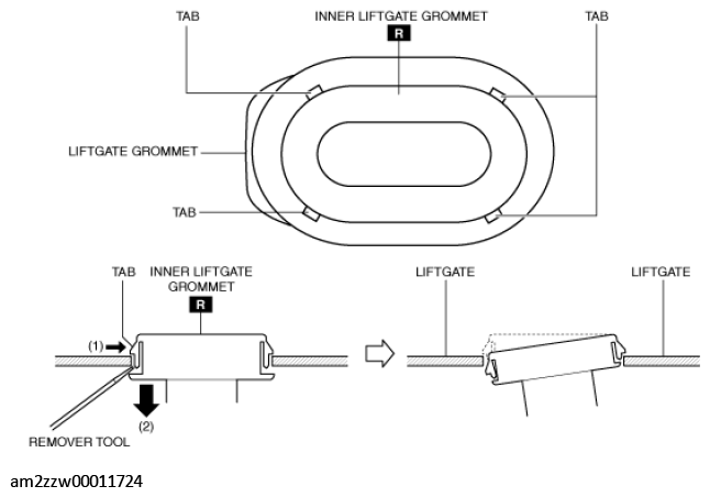G11433970