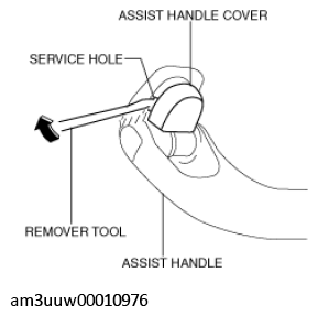G11434447