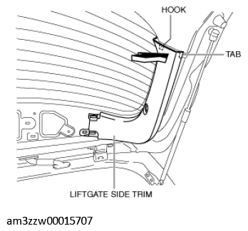 G11434561