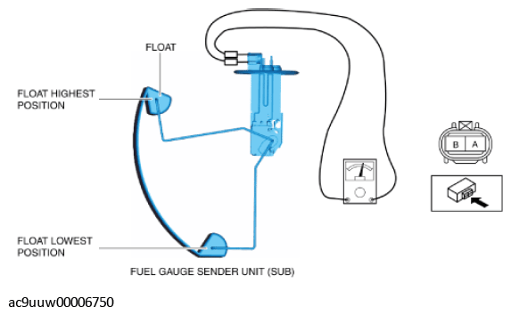G11434796