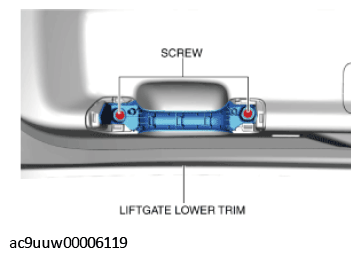 G11434964