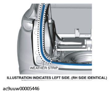 G11435039