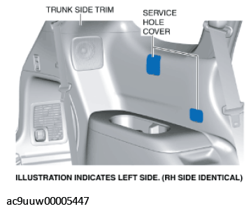 G11435041