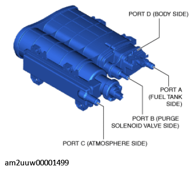 G11435667