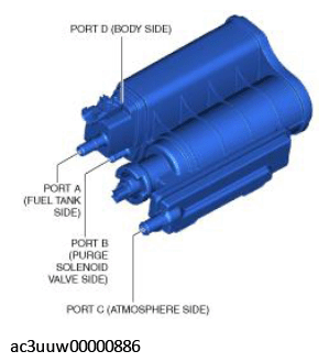 G11435668
