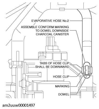 G11435681