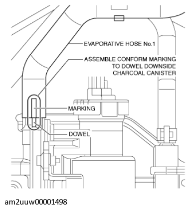 G11435682