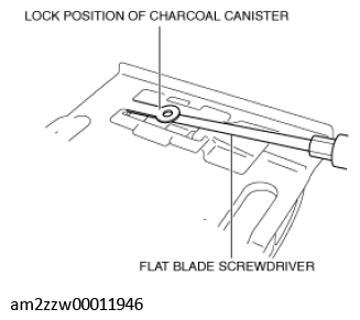 G11435687