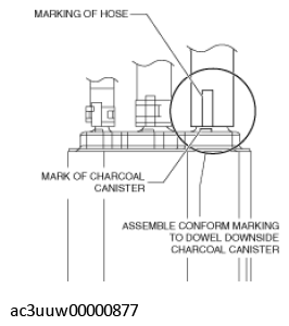 G11435688