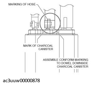 G11435689