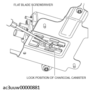 G11435692