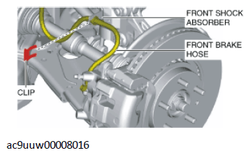 G11435891