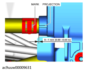 G11436229
