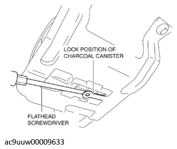 G11436231