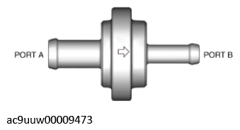 G11436233