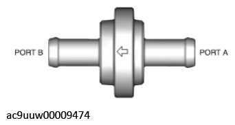 G11436234