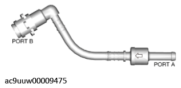 G11436235