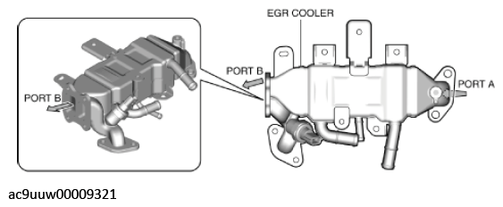 G11436243