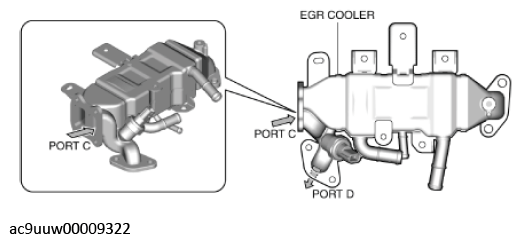 G11436244