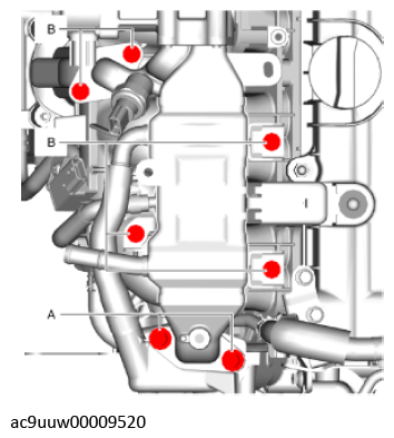 G11436251