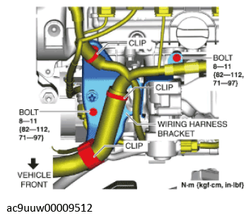 G11436260