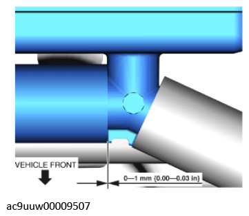 G11436280