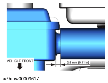 G11436281