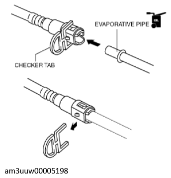 G11436291
