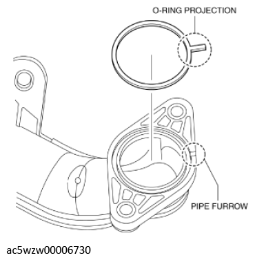G11436416
