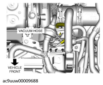 G11436428
