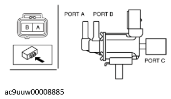 G11436456
