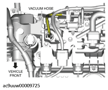 G11436460