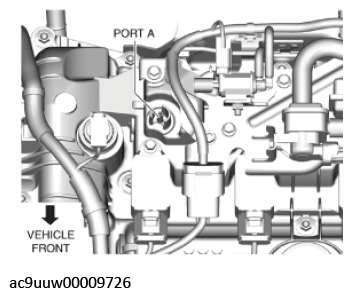G11436461