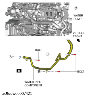 G11436505