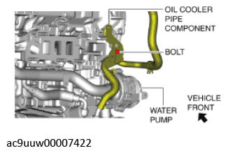 G11436506