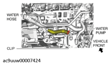 G11436508