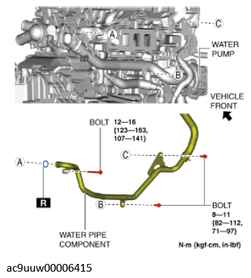 G11436526