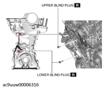 G11436547
