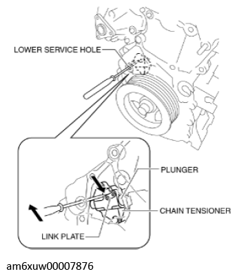 G11436552