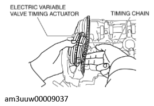 G11436559