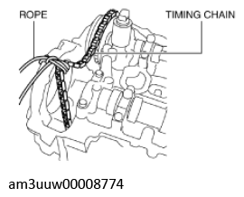 G11436560