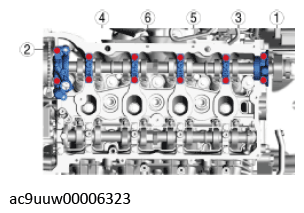 G11436562