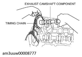 G11436563