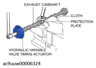 G11436565