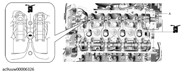 G11436568