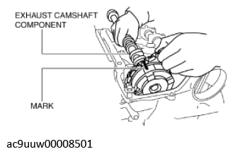 G11436569