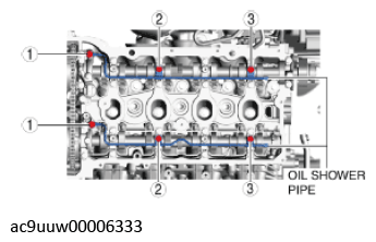 G11436579